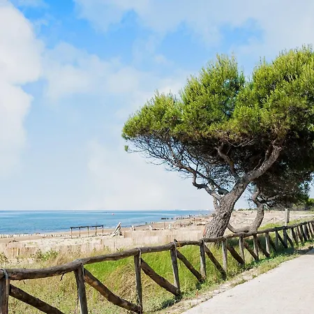 With Sea View ביביונה